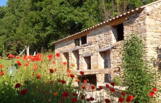 Le Mas De Carrie Bed & Breakfast Parisot  Eksteriør bilde